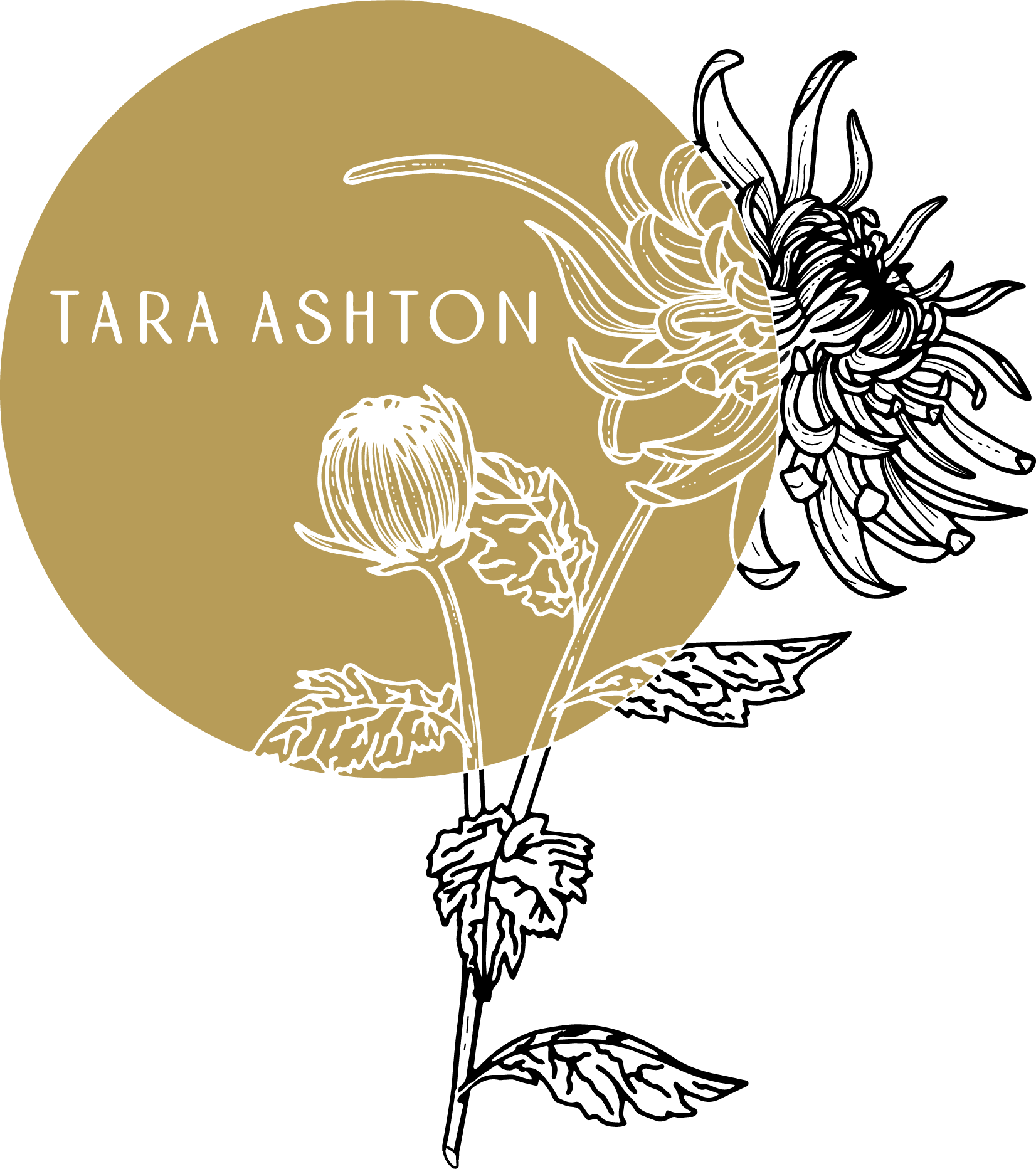 Tara Ashton - Brand Photography Product &amp; Food Photography Greenville, SC