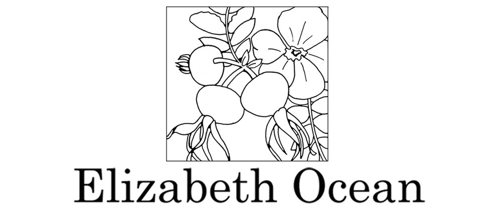 Elizabeth Ocean