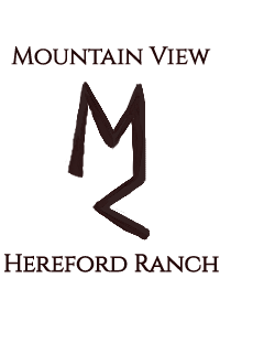 Mountain View Hereford Ranch