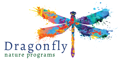 Dragonfly Nature Programs LLC