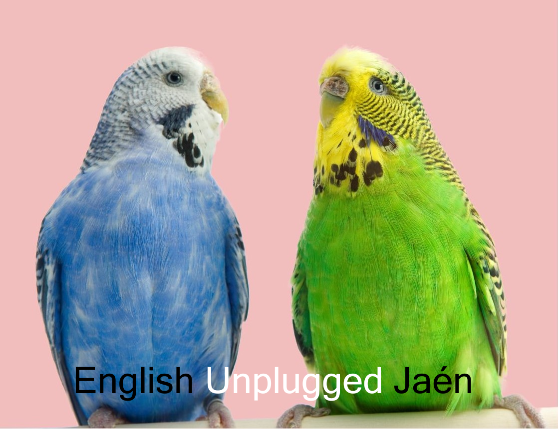 ENGLISH unplugged JAEN
