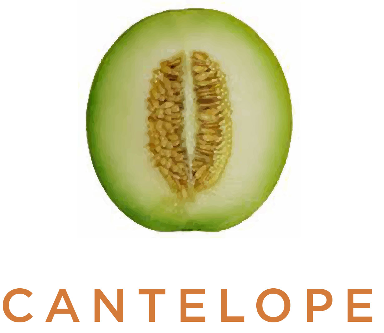 Cantelope