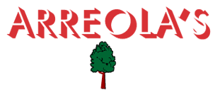 Arreola's Landscape