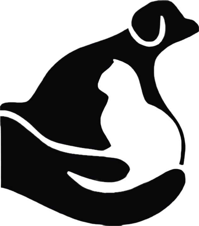 Kirk Veterinary Service