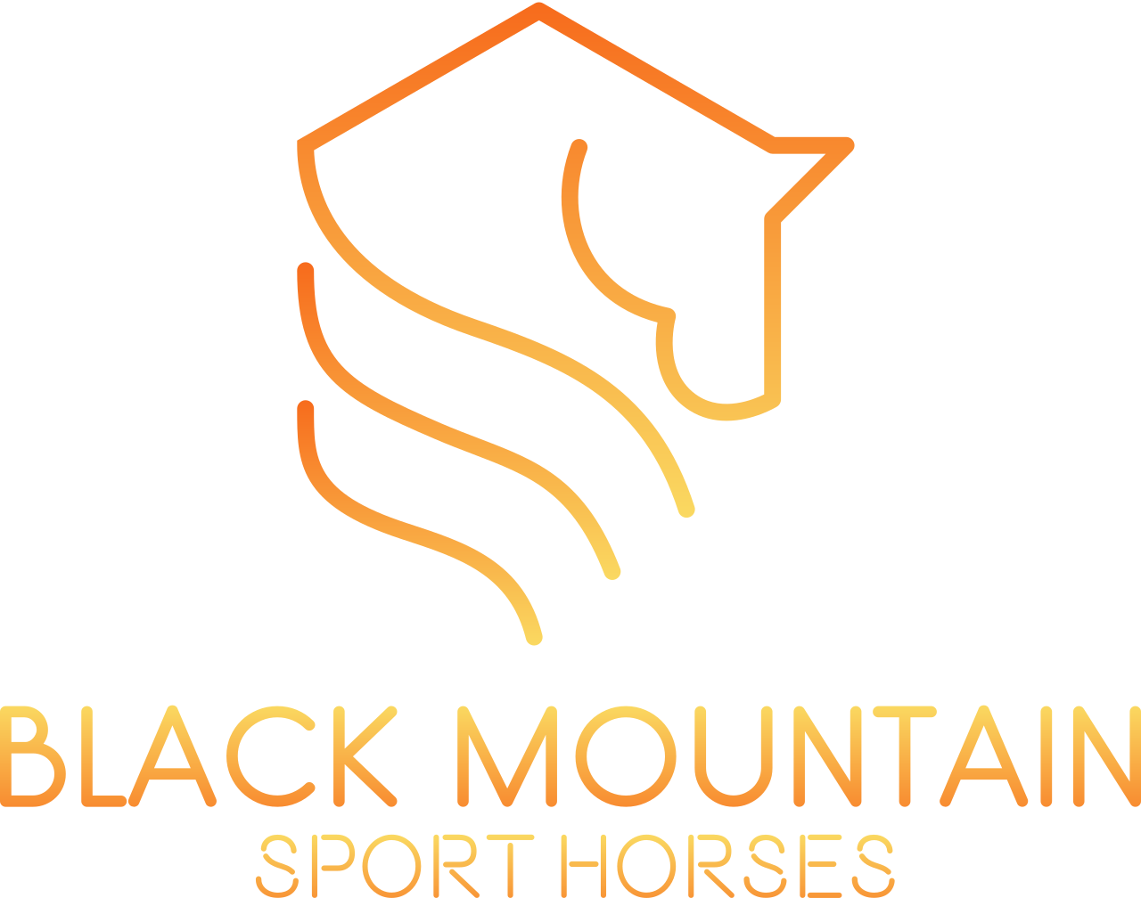 Black Mountain Sport Horses