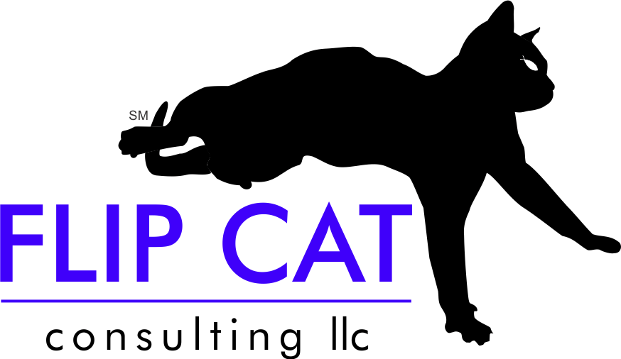 Flip Cat Consulting