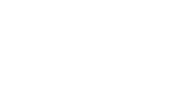 AP Elan Group