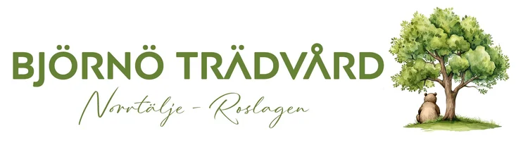 BJÖRNÖ TRÄDVÅRD