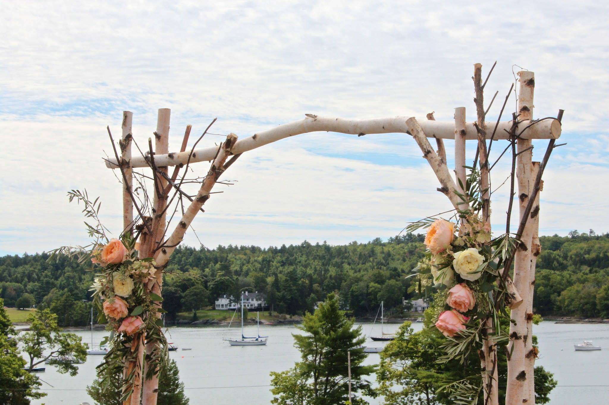 Birch Wedding Arch The Woodshaper Shop