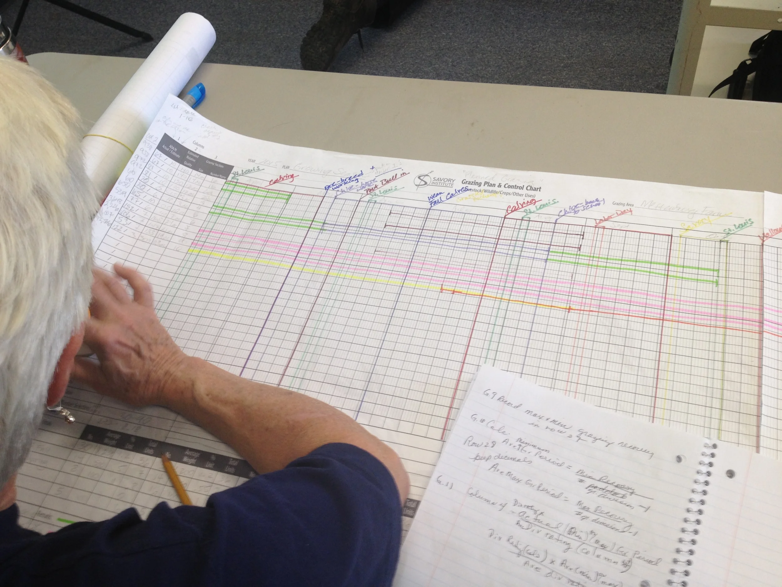 Holistic Planned Grazing Chart