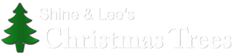 Shine & Lee's Christmas Trees