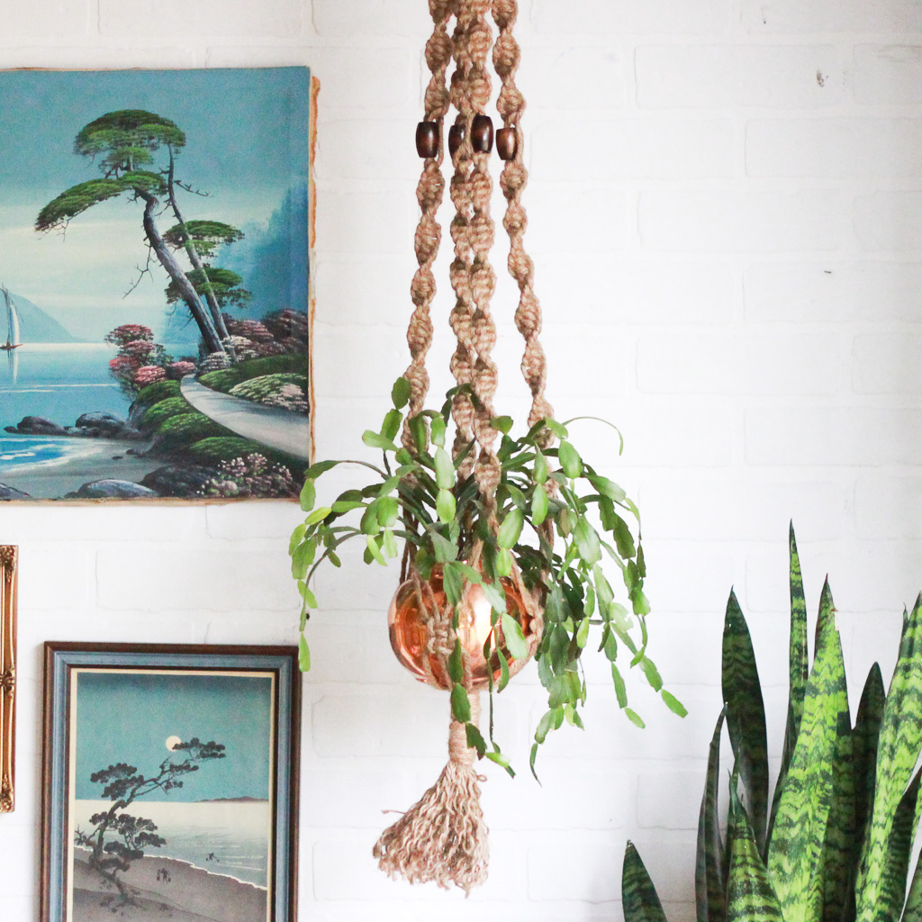 Macrame Plant Hanger Vintage Home Decor Portland Oregon Left