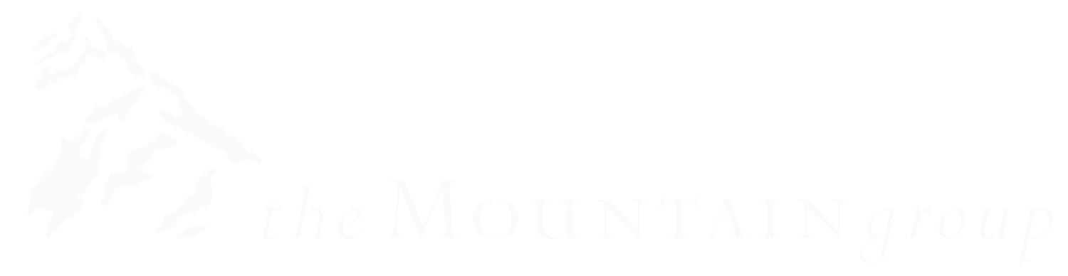 The Mountain Group