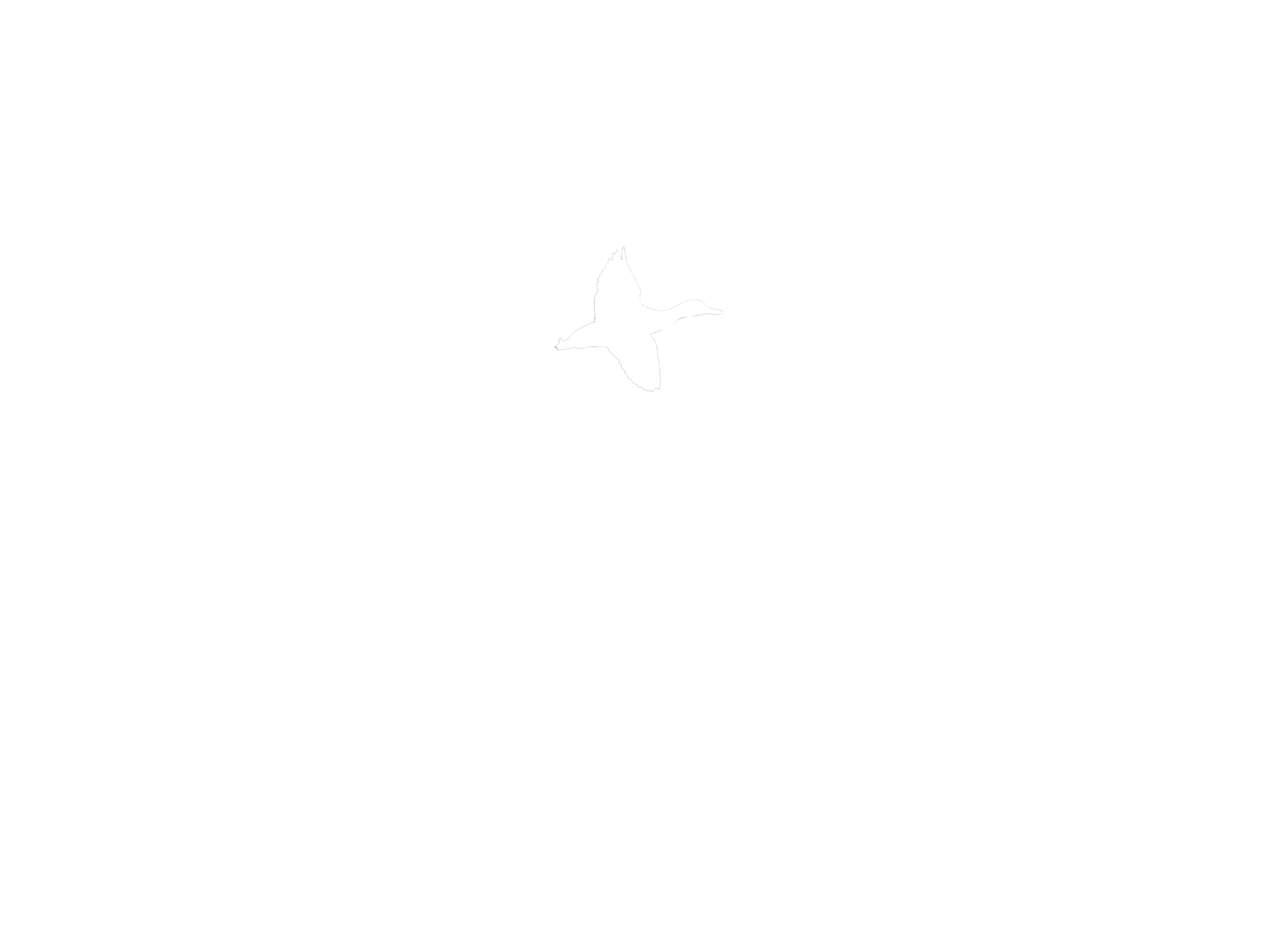 Coldwater Duck Co