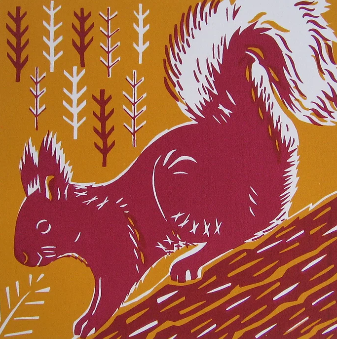 Unframed Red Squirrel by Catherine Bowdler — cambridge contemporary art