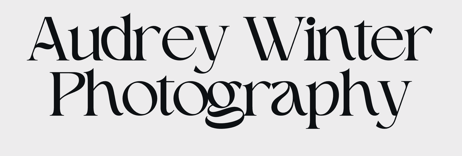 Audrey Winter Photography