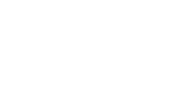 Paisley Tree Photography