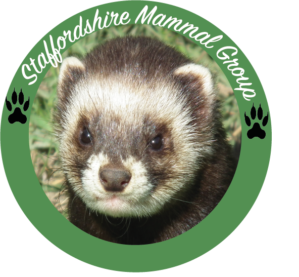 Staffordshire Mammal Group