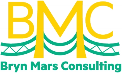 Bryn Mars Consulting