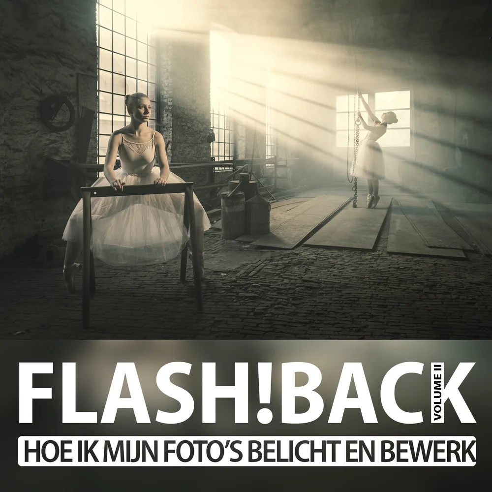 Flash!Back 2 NL Product Image 2.jpg