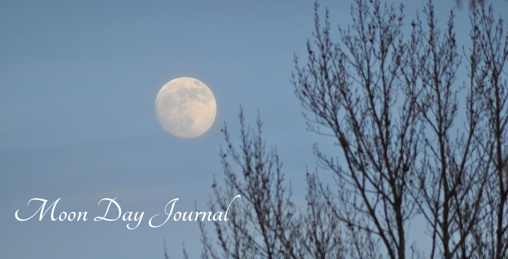 Moon Day Journal