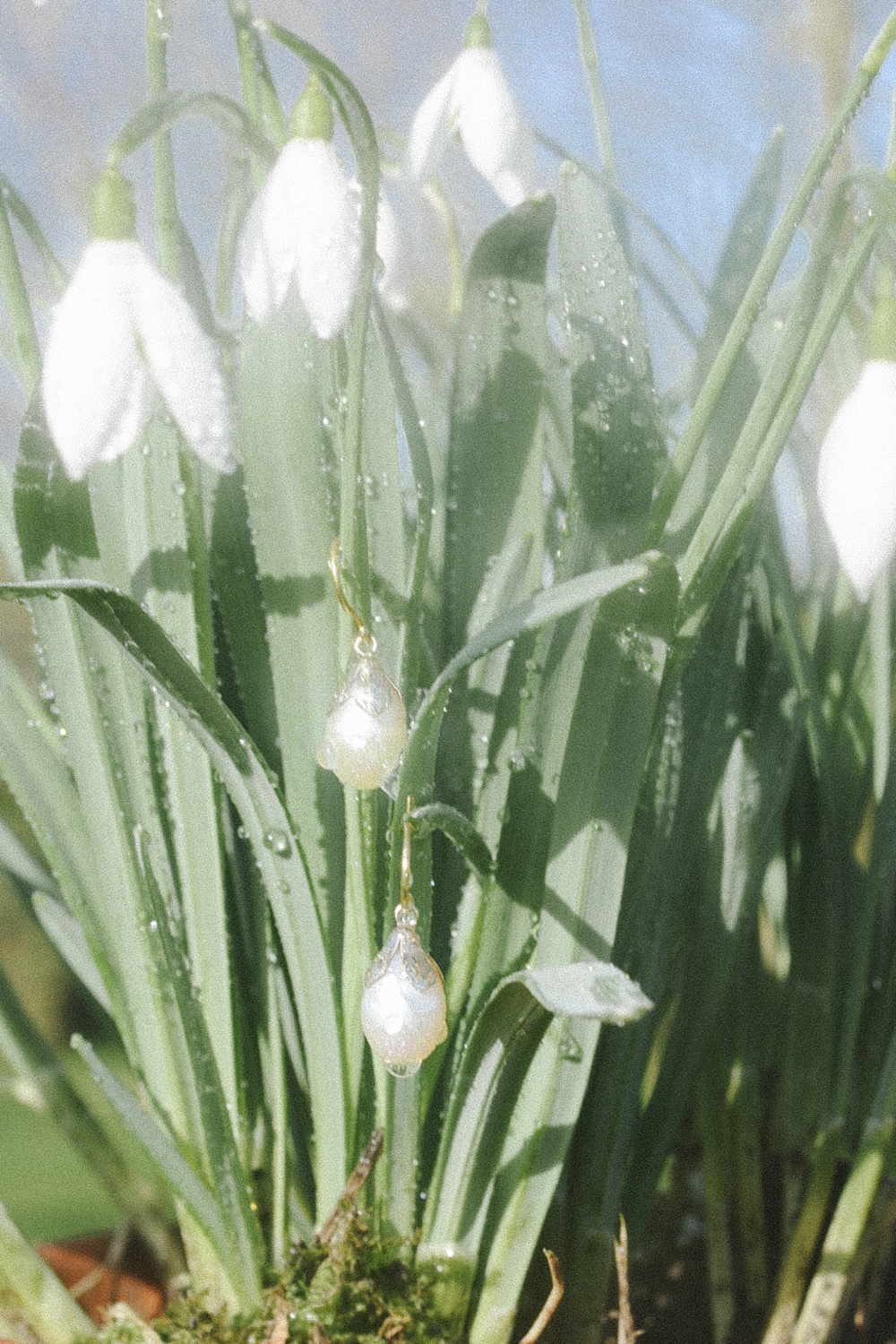 British Snowdrops Earrings from our Botanical collection