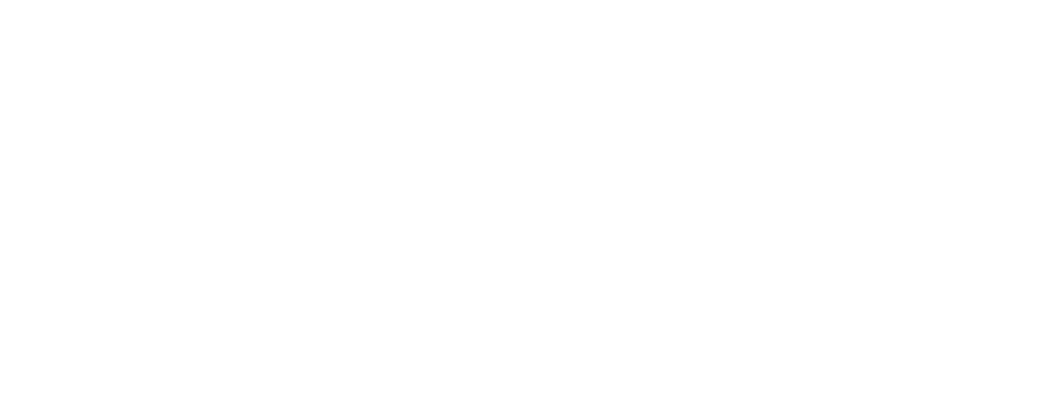 TheOrganizer