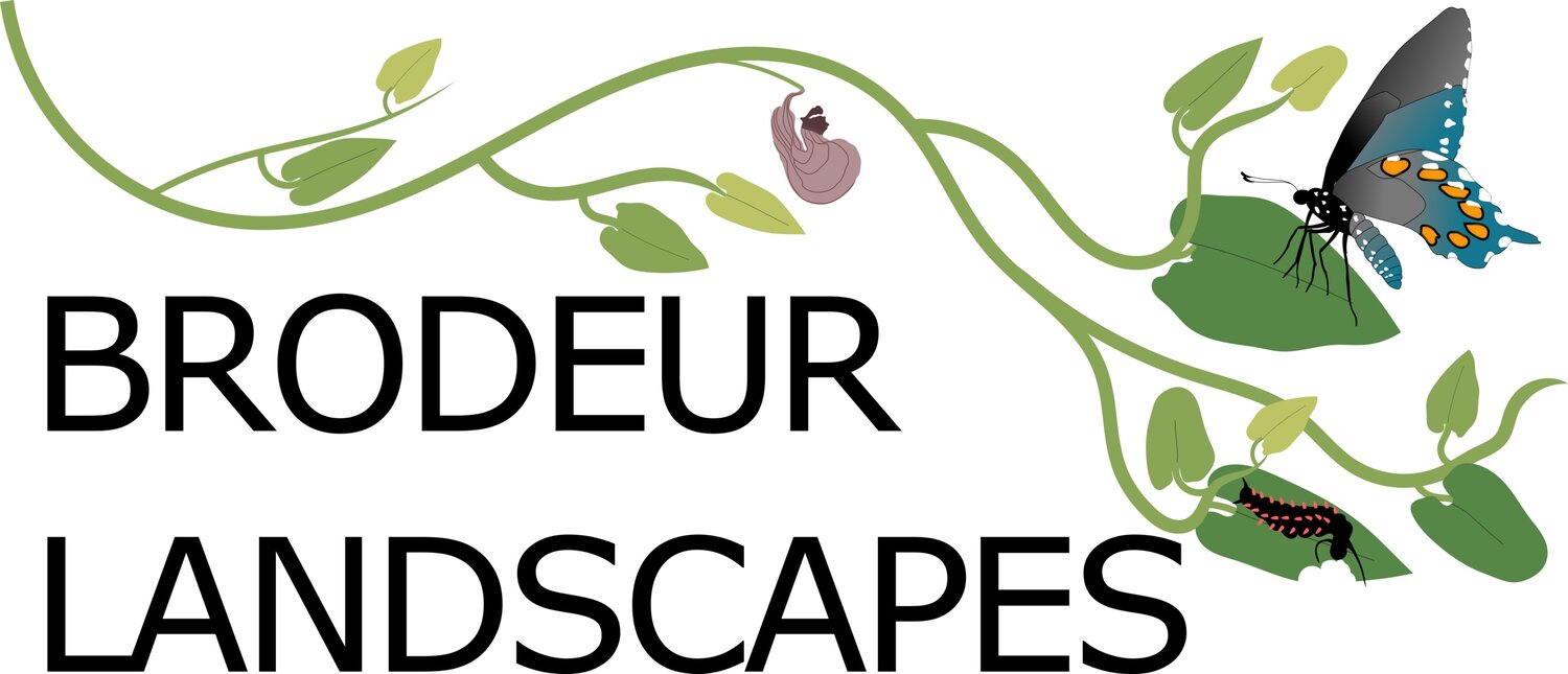 Brodeur Landscapes