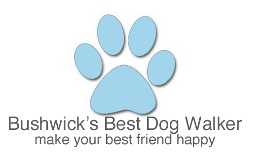 Bushwick's Best Dog Walker
