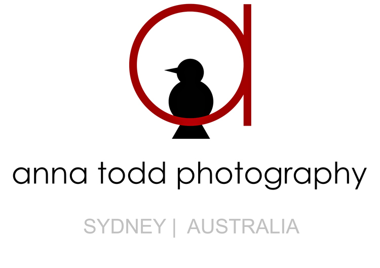 anna todd photography