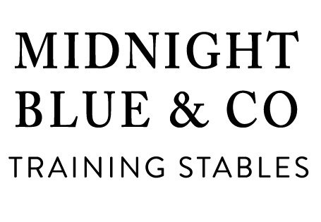 Midnight Blue & Co Training Stables