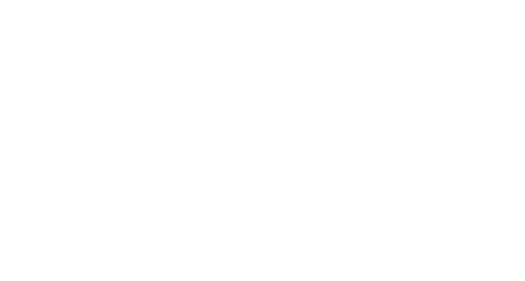 Indie Bling Studio™