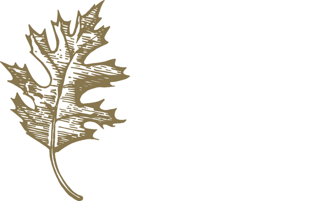 Absolute Hardwood Flooring