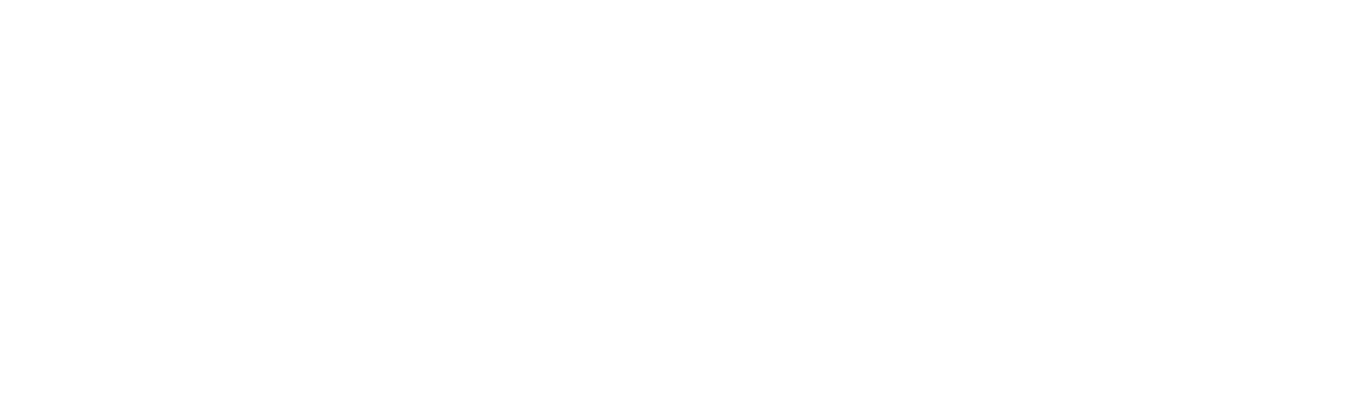 Project Wildness