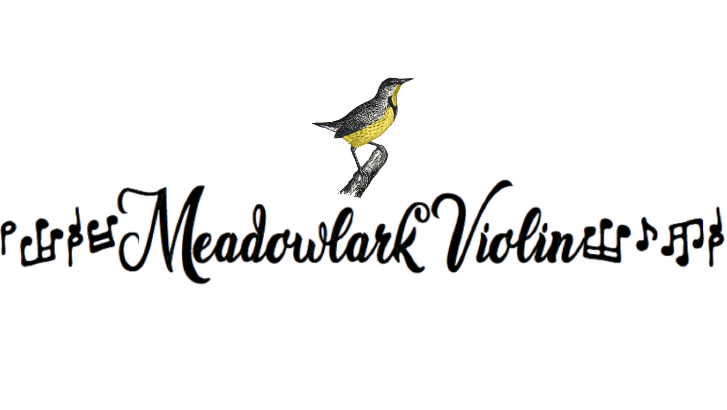 Meadowlark Violin Studio