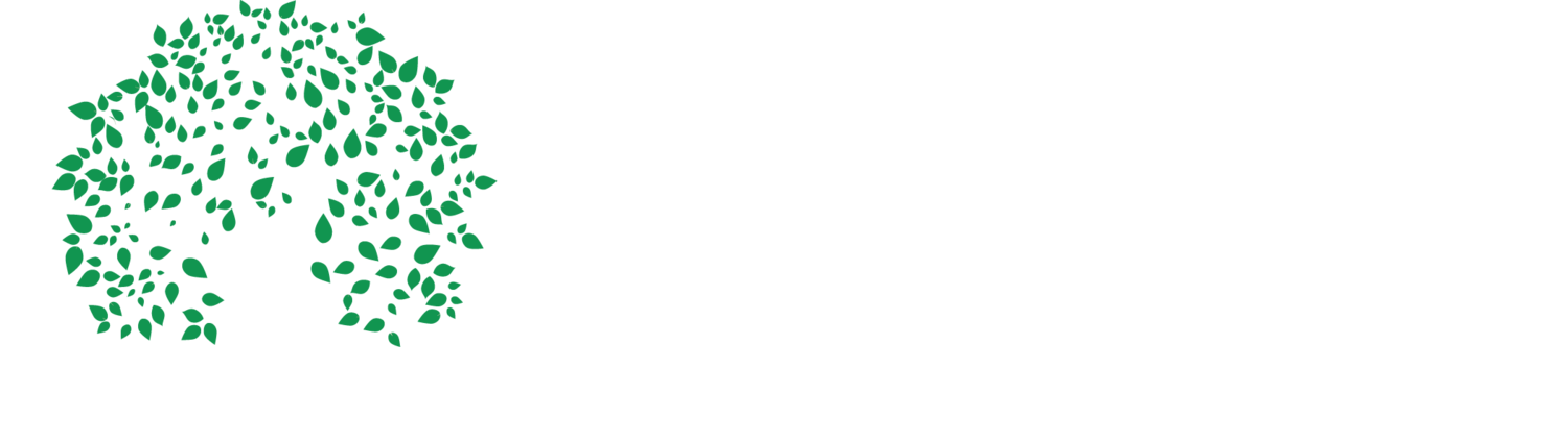 Legendary Tree & Stump