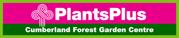 Plants Plus Cumberland Forest