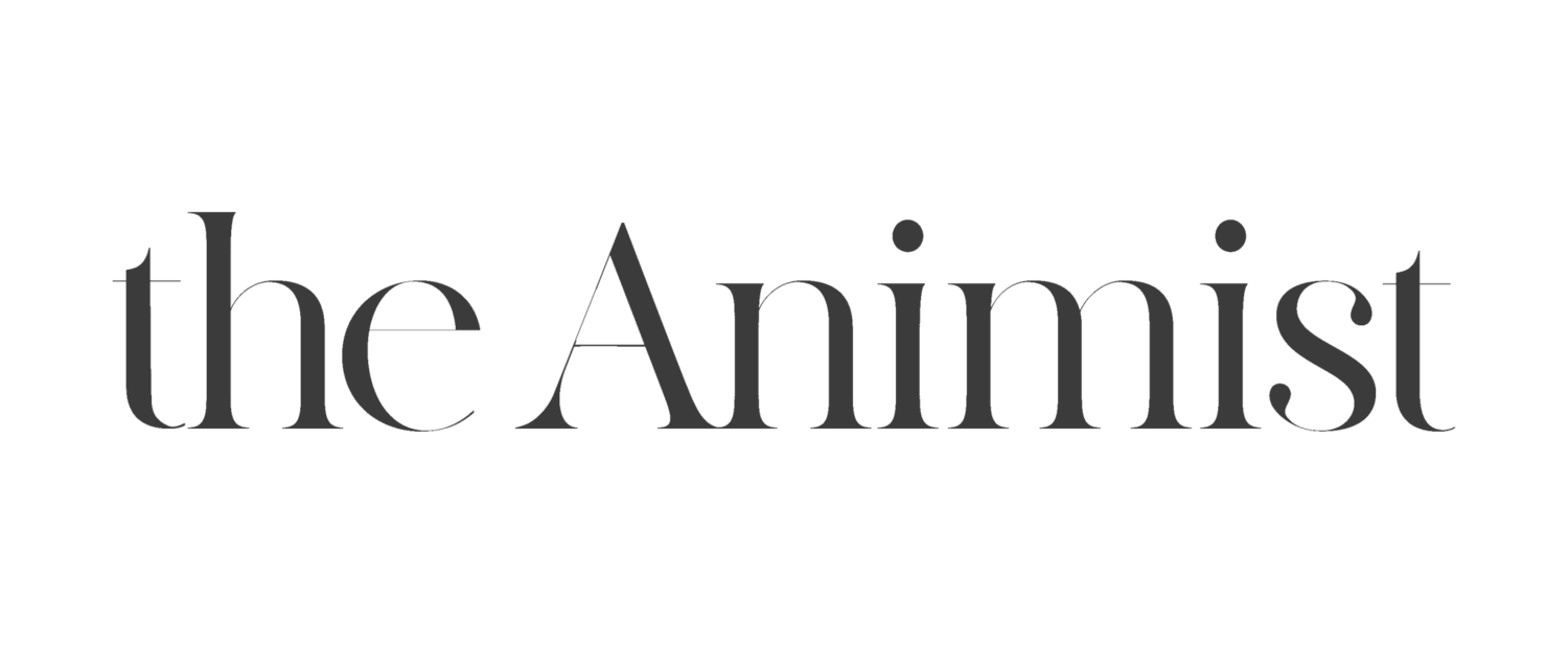 The Animist - Charlotte Video Production & Animation Studio
