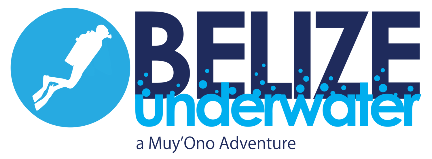 Belize Underwater SCUBA