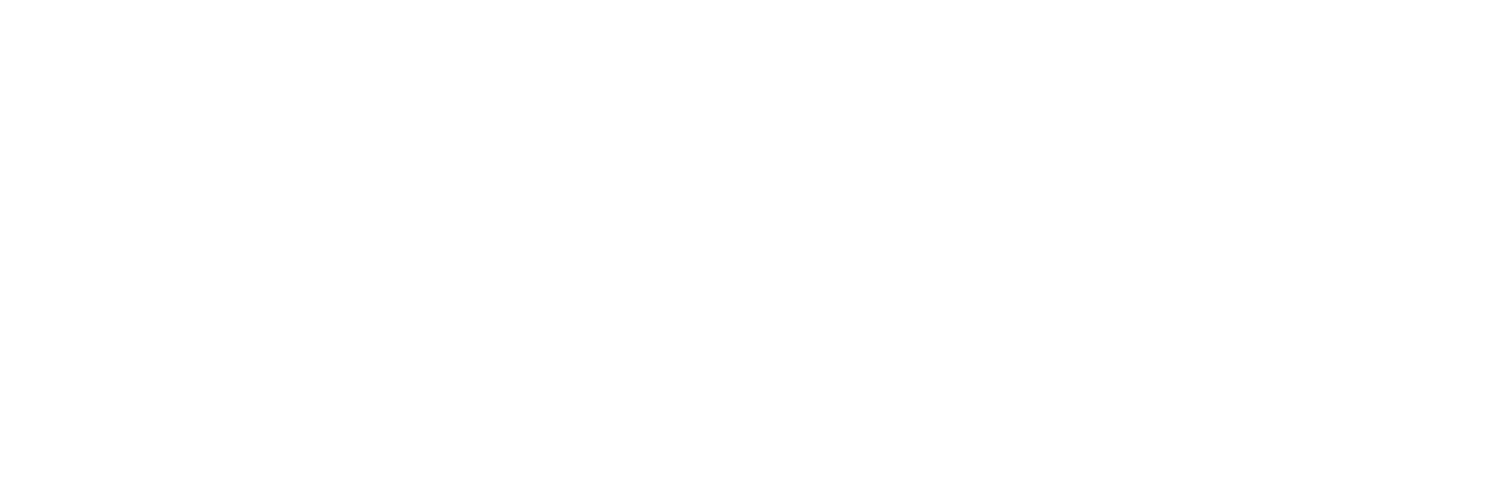 Altair Electronics