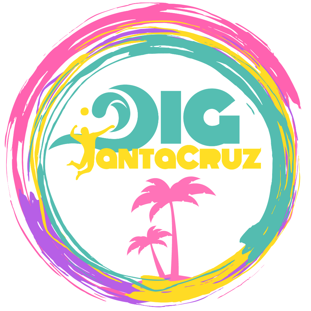 Dig Santa Cruz