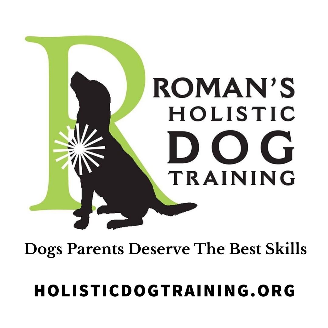 Roman's Holistic Dog Training 