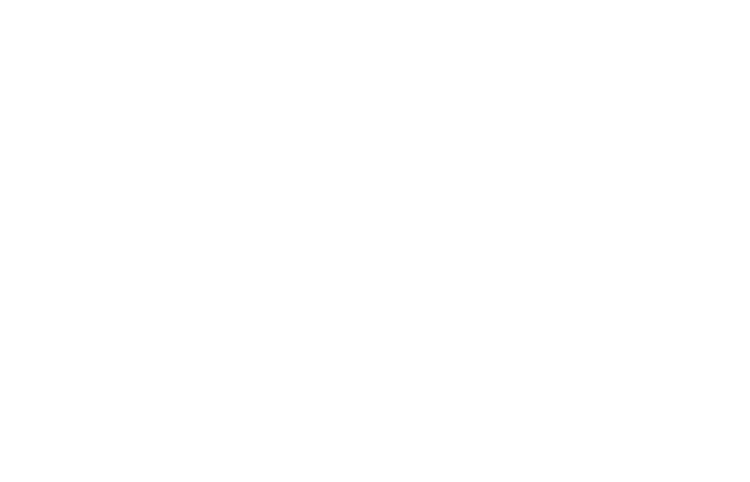 NUEVE VOLTIOS