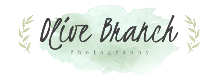 Olive Branch Photography