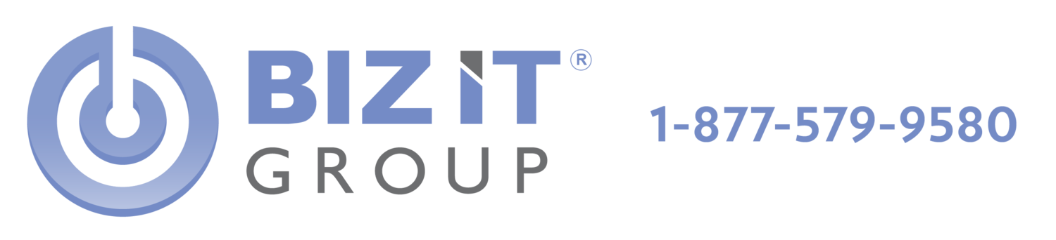 Biz IT Group