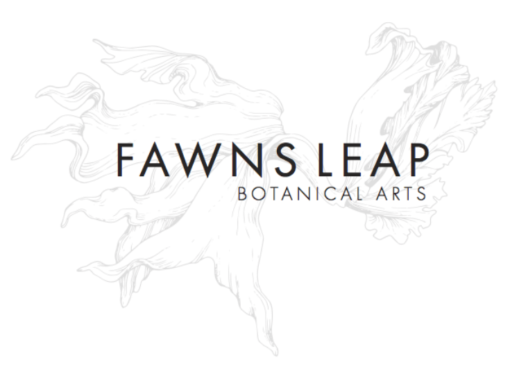 Fawns Leap