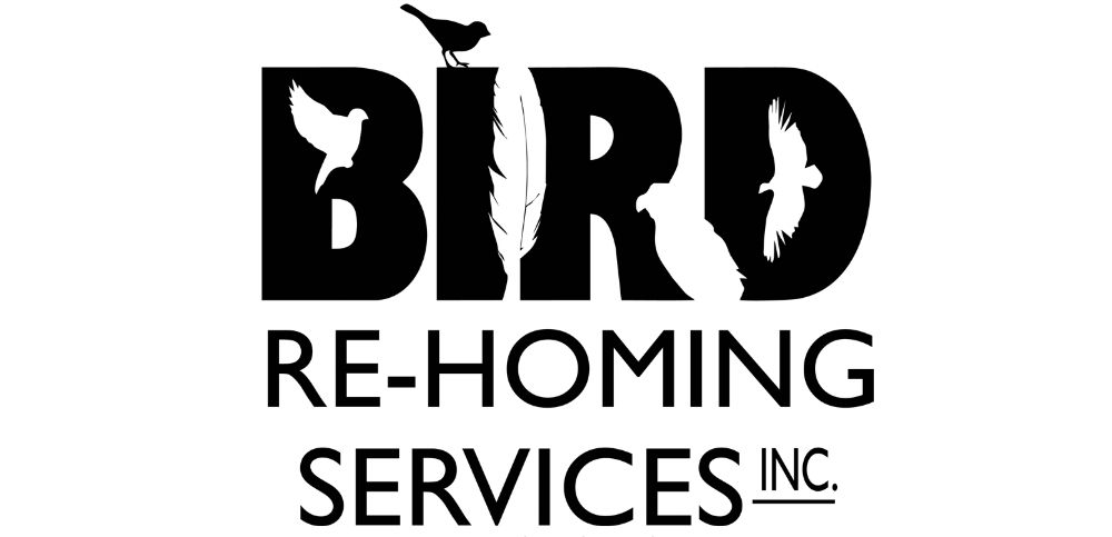 Bird Re-Homing Services Inc