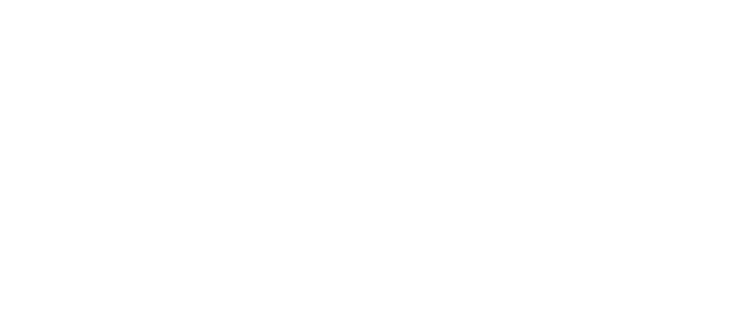  Net Impact Washington DC Professional Chapter