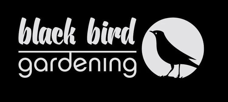 Blackbird Gardening