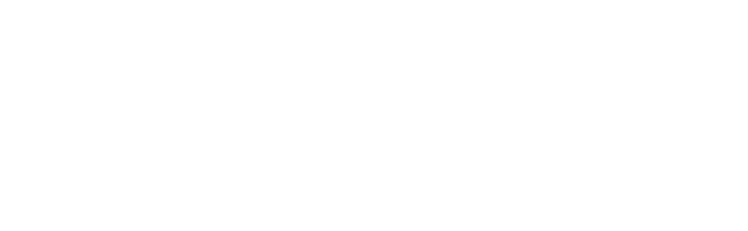 SNAKESKIN MEDIA